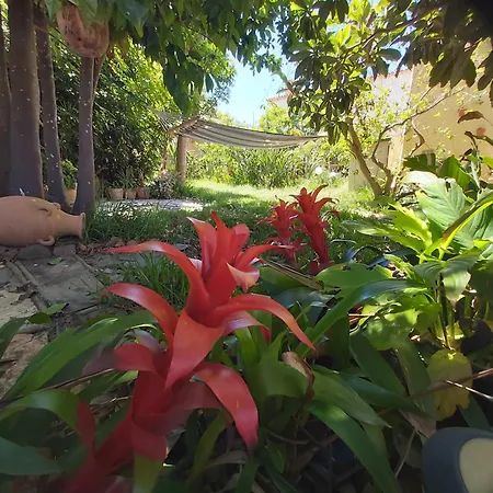 Charming House With Shared Pool In *