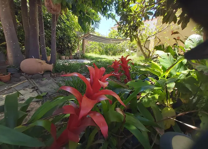 Charming House With Shared Pool In *